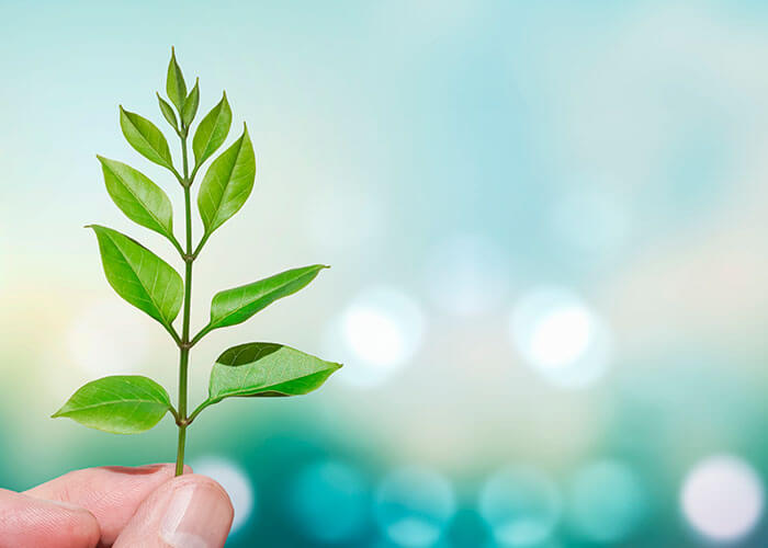 痛みの少ない虫歯治療