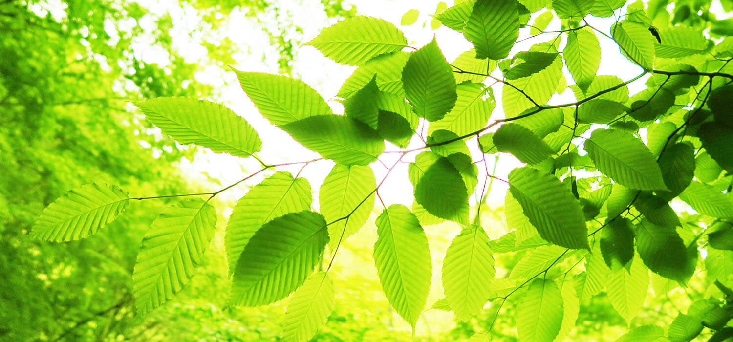 ドクター紹介＆診療方針